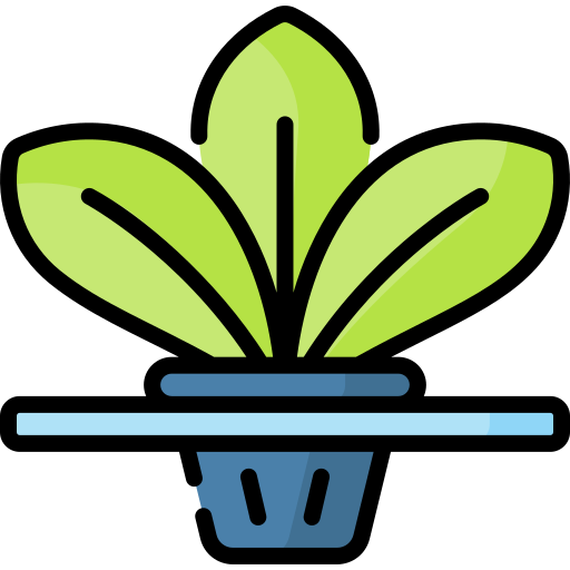Un plant hydroponique